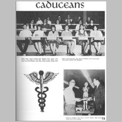 073-Caduceans.jpg