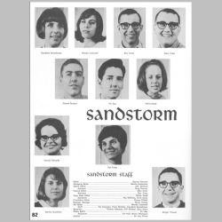 082-SandstormStaff.jpg