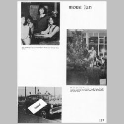 117-Snapshots.jpg