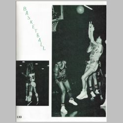 133-Basketball.jpg