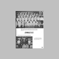 129-Gymnastics.jpg
