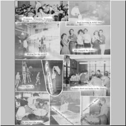 51-SnapShots.jpg