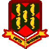 5th marines2 insignea