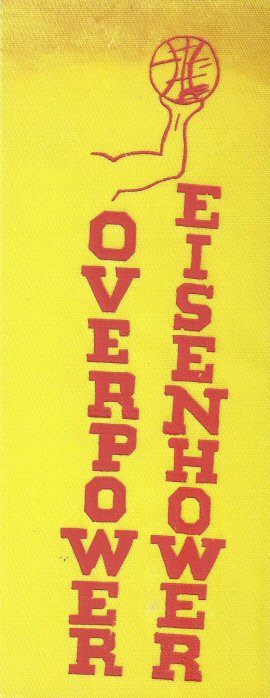 Eisenhower ribbon